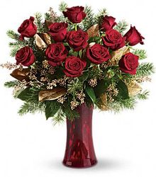 Christmas Roses