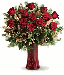Christmas Roses