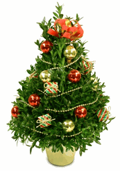 Christmas Tree Decor