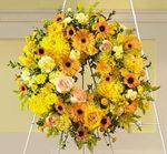 Circle Of Sunshine