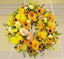 Circle Of Sunshine