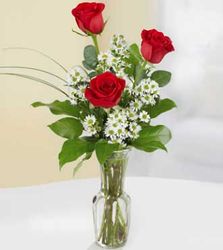 Classic Bud Vase Roses