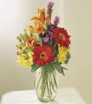Color Bouquet 