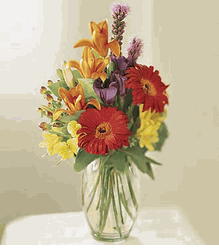 Color Bouquet 