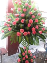 Congratulation Wedding flowers