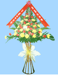 Congratulations 10