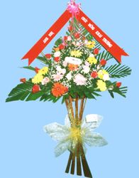Congratulations 12