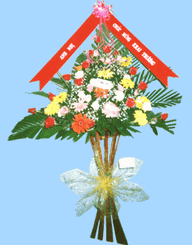 Congratulations 12