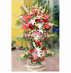 Congratulations 14