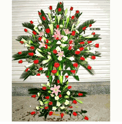 Congratulations 15