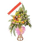 Congratulations 3