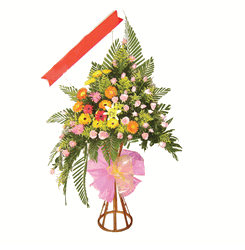 Congratulations 3