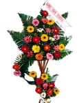 Congratulations 4