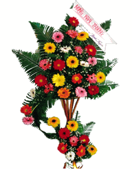 Congratulations 4