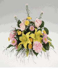 Container arrangement in pastel colors 