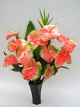 Coral Anthuriums Tropical Flower