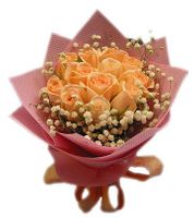 Cream roses
