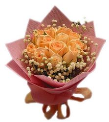 Cream roses