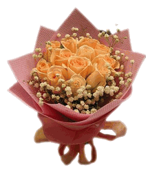 Cream roses