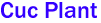 Cuc Plant