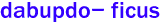 dabupdo- ficus 