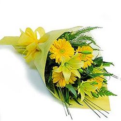 Daisy and Lily Arrangements