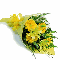 Daisy and Lily Arrangements
