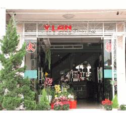 Dalat Florist