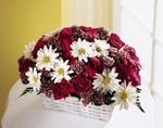 Dalat Florists & Flower Shops, Vietnam