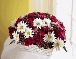 Dalat Florists & Flower Shops, Vietnam