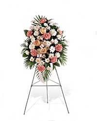 Click to enlarge