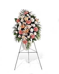 Click to enlarge
