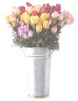 Danang Florist & Flower Shops. Flower To Vietnam Delivery