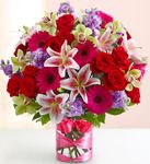Dazzle Her Day 