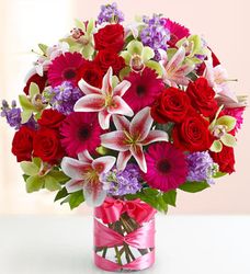 Dazzle Her Day 