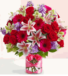 Dazzle Her Day 