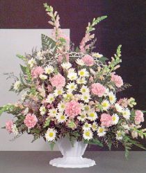 Delicate Expressions