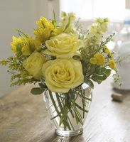 Delicate Yellow