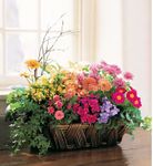 Deluxe European Garden Basket