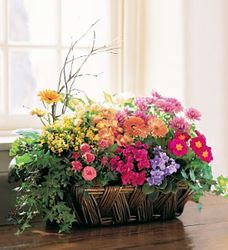 Deluxe European Garden Basket