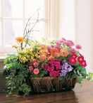 Deluxe European Garden Basket