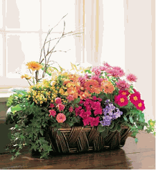 Deluxe European Garden Basket
