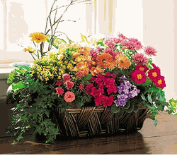Deluxe European Garden Basket
