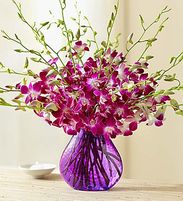 Dendrobium orchids Vase Variety