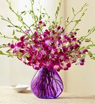 Dendrobium orchids Vase Variety