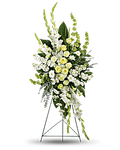 Vietnam Houston, TX  Florist Hoa Tuoi Nha Quang Thien An S. Dairy Asford