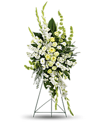 Vietnames Houston, TX  Florist Thien An S. Dairy Asford Flower Delivery