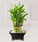 Double Lucky Pyramid Bamboo