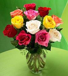  Dozen Mixed Color Roses