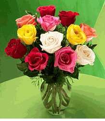  Dozen Mixed Color Roses